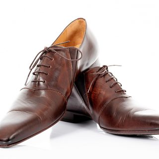 Elegant Brown